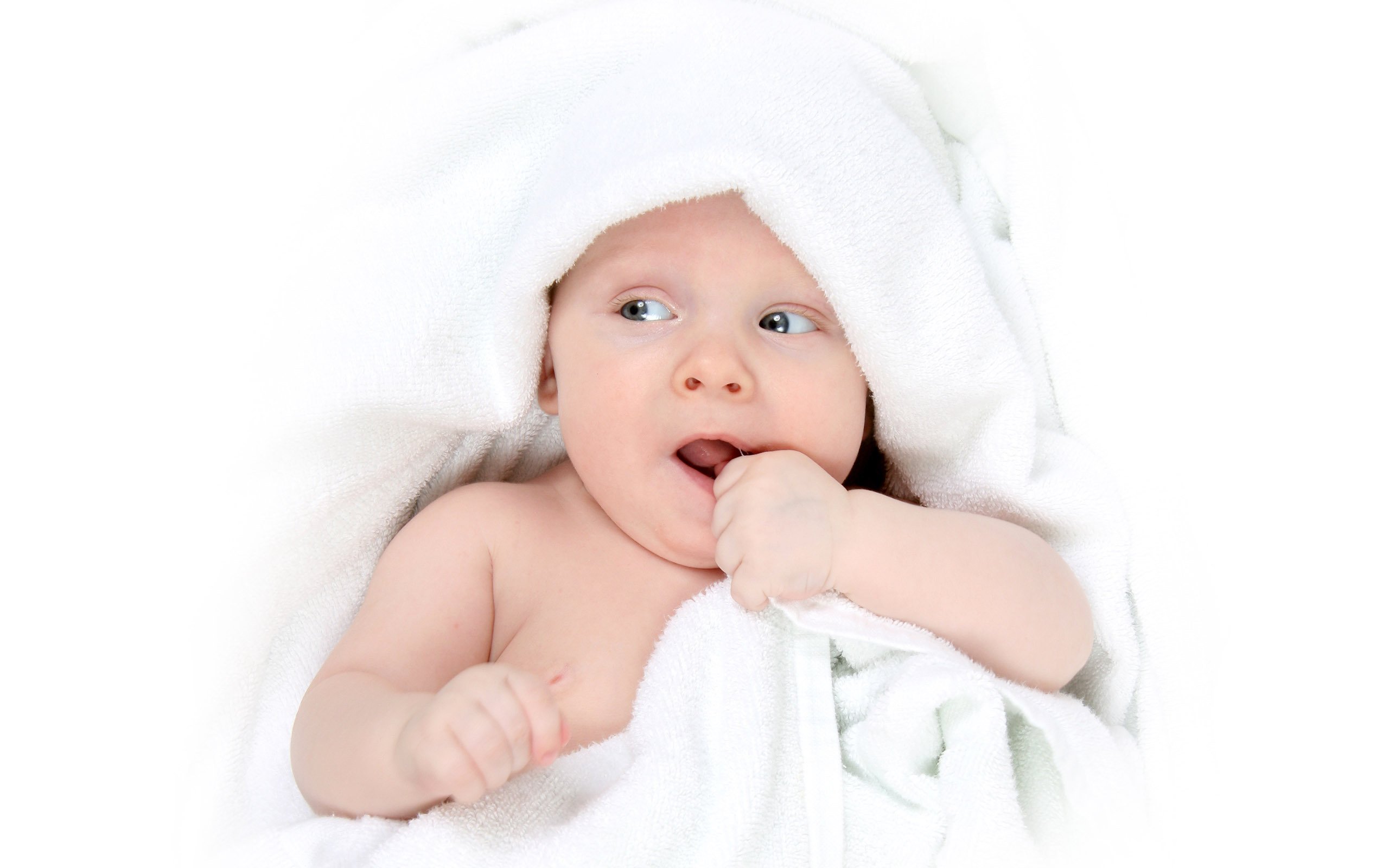 宁夏捐卵网试管婴儿的成功率有多高